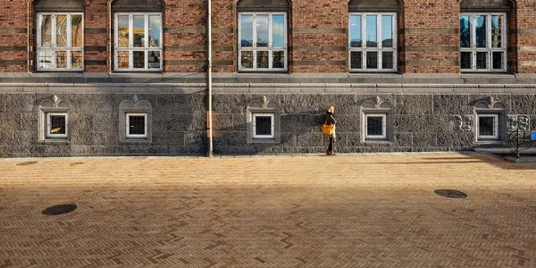 Клинкерная брусчатка Muhr №06 Hellbraun-bunt, 240*55*52 мм Клинкерная брусчатка Muhr №06 Hellbraun-bunt, 240*55*52 мм